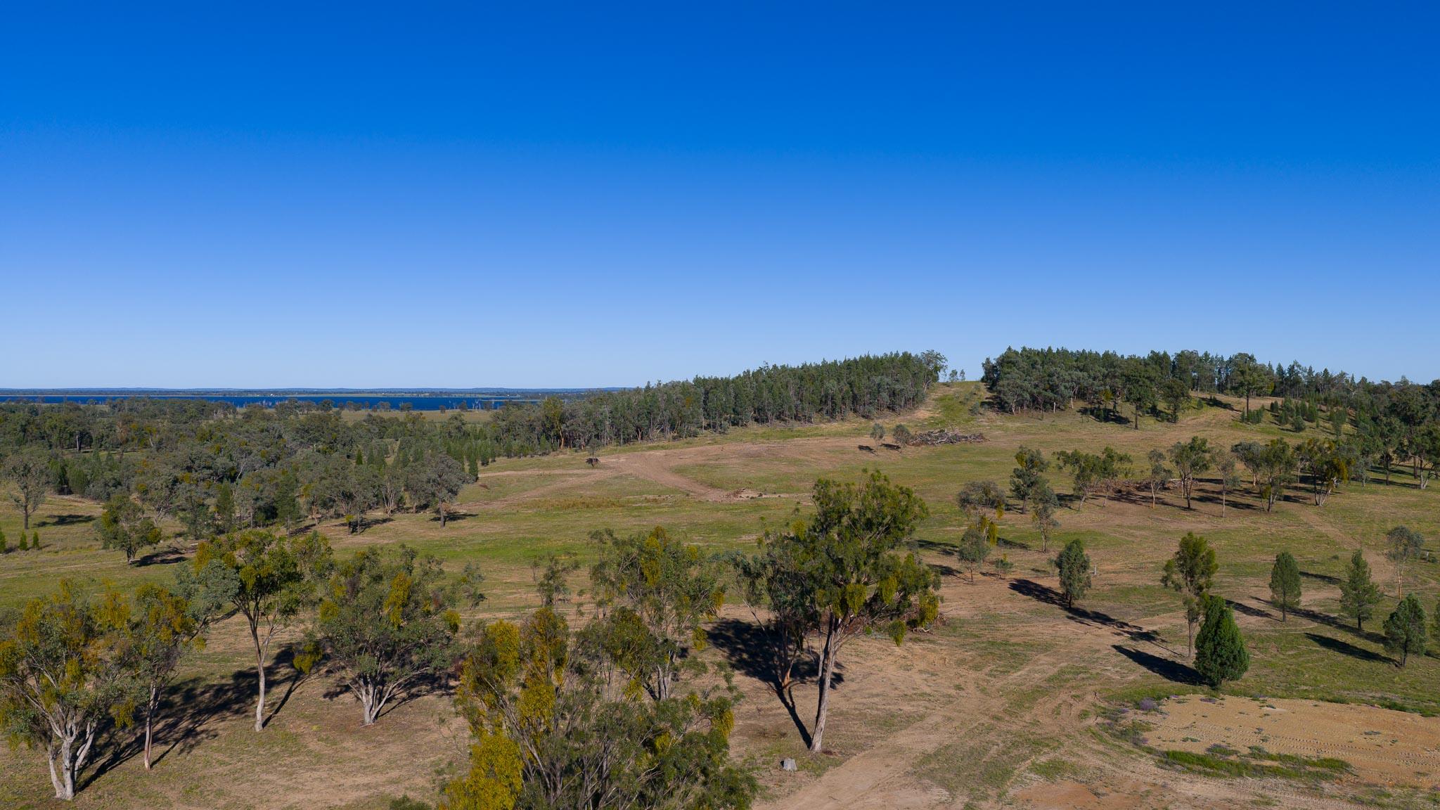 IronBark Station