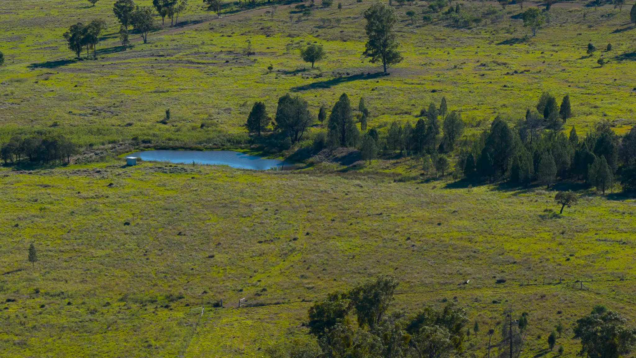 IronBark Station Lot 7